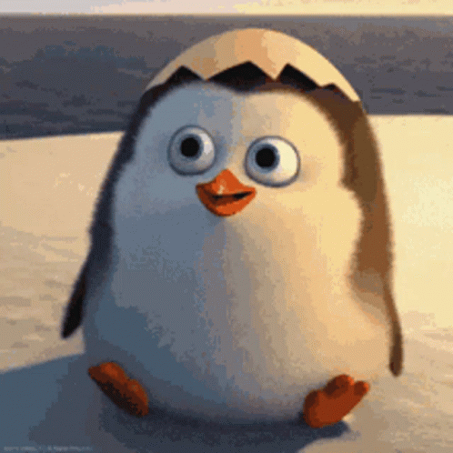 A small penguin with an eggshell on its head